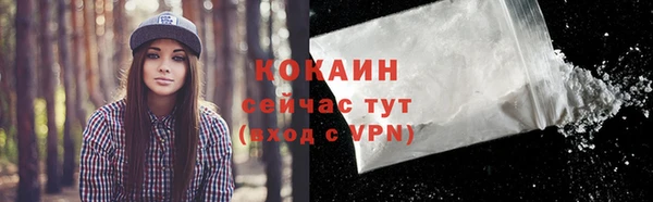 дмт Новозыбков