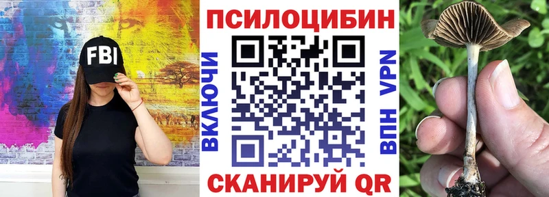 omg зеркало  Торопец  Псилоцибиновые грибы мухоморы 